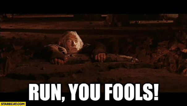 run-you-fools-gandalf-lord-of-the-rings.jpg