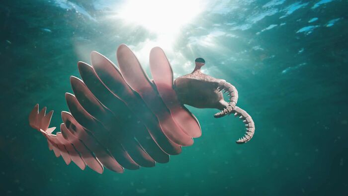 Abnormal Shrimp, The World's First Apex Predator, Lived 508 Million Years Ago