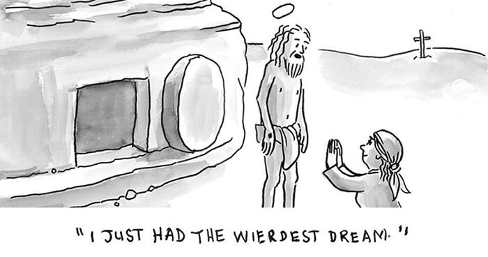 65 Cartoons From The Series By Sarah Morrissette, Featuring Humorous And Silly Situations