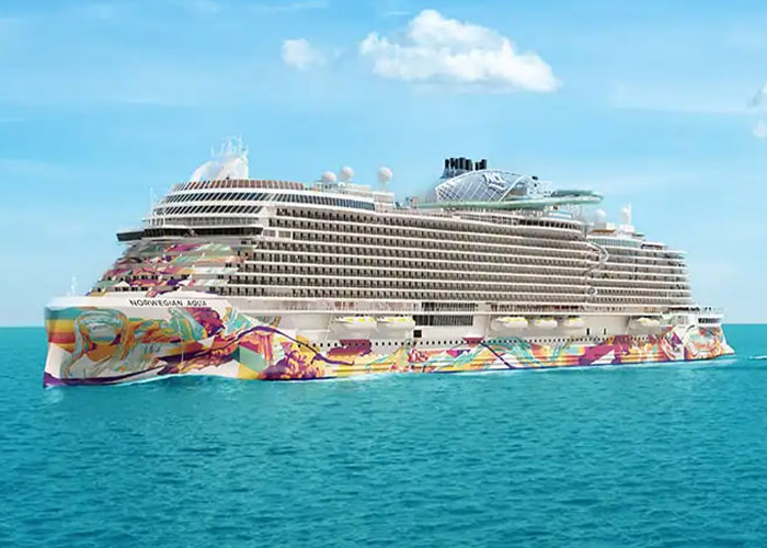 “So Bloody Entitled”: Passengers Left Stranded On African Island Reboard Norwegian Cruise