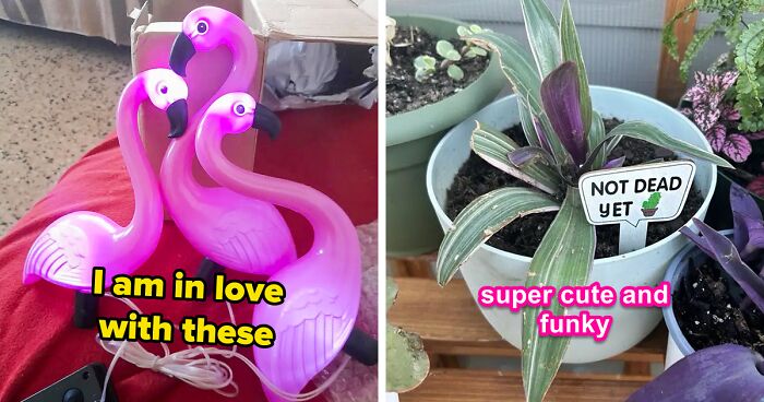 97 Animal And Nature Memes, As Shared By Members Of This Popular Facebook Group
