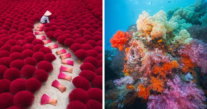 80 Images Depicting The Beauty And Diversity Of Our Planet Earth, By This Photographer