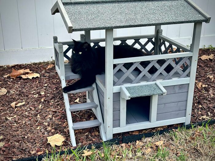 Craft A Kitty Kingdom With The Outdoor Cat Residence: Where Comfort Meets Adventure