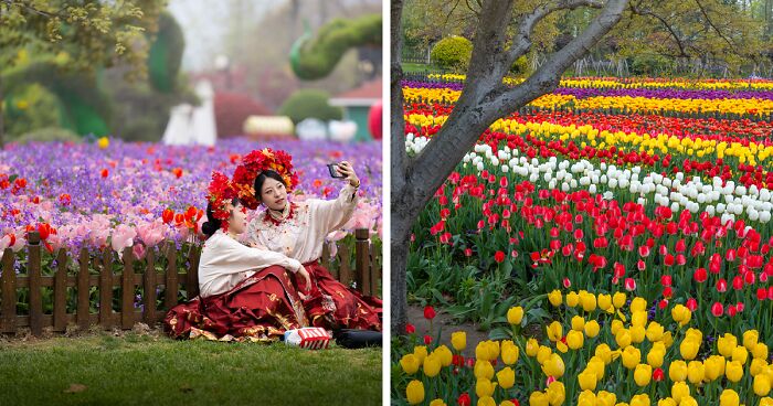 My 34 Photographs Of The Holland Flower Park In China