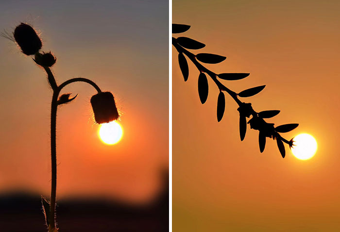 This Photographer Captures The Sun As An Integral Part Of His Photo Stories (17 New Pics)