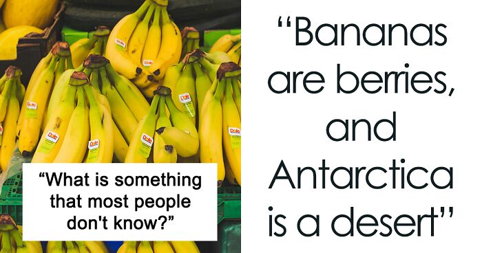 34 Facts That Not Enough People Know, So Folks Online Are Sharing Their Knowledge With Everyone