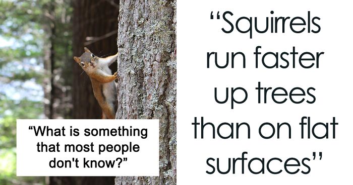 This Viral Online Thread Is Full Of Obscure Facts That Most People Don’t Know (34 Answers)