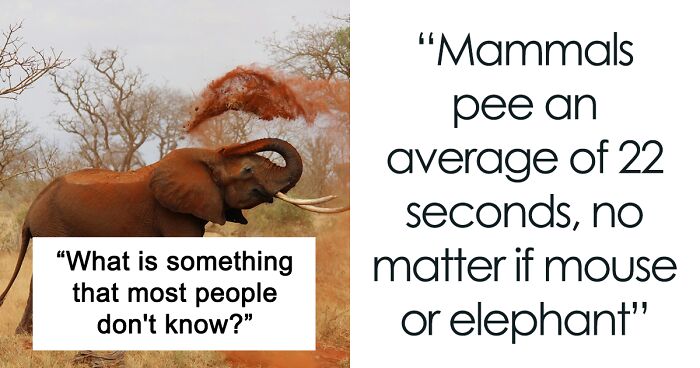 35 Facts That Might Be New Knowledge For Quite A Lot Of People
