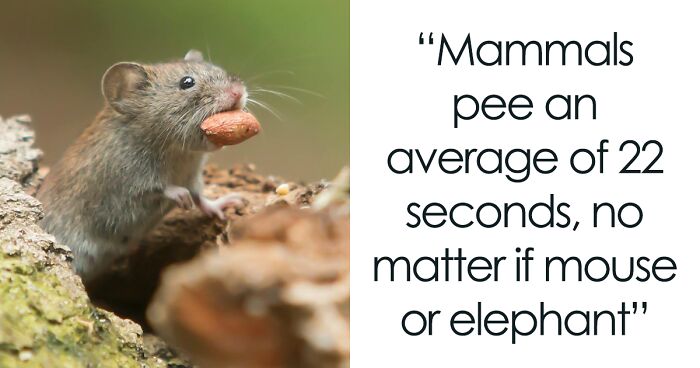 34 Facts That Might Teach Quite A Lot Of People Something New