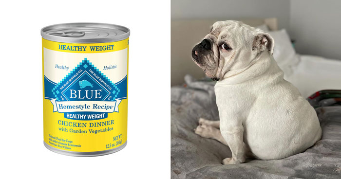 Vet-Recommended Dog Food For Weight Loss