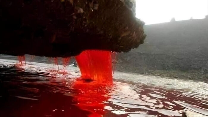 The Blood Falls‼️ One Of The Most Incredible Natural Phenomena On The Planet