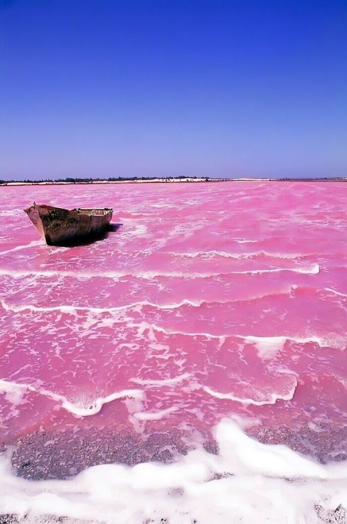 Senegal, Lake Retba. Its Distinct Pink Colour Is Caused By The Dunaliella Salina Bacteria, Which Is Attracted By The Lake’s Salt Content