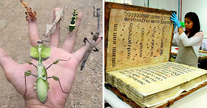 35 Times People Saw The Coolest Things And Just Had To Share On This Online Community