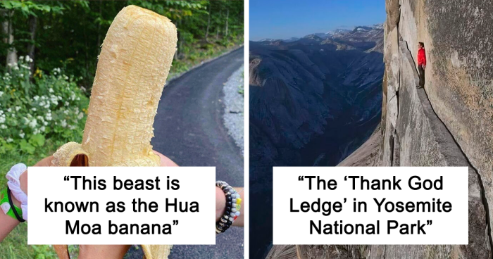 35 Times People Saw The Coolest Things And Just Had To Share On This Online Community