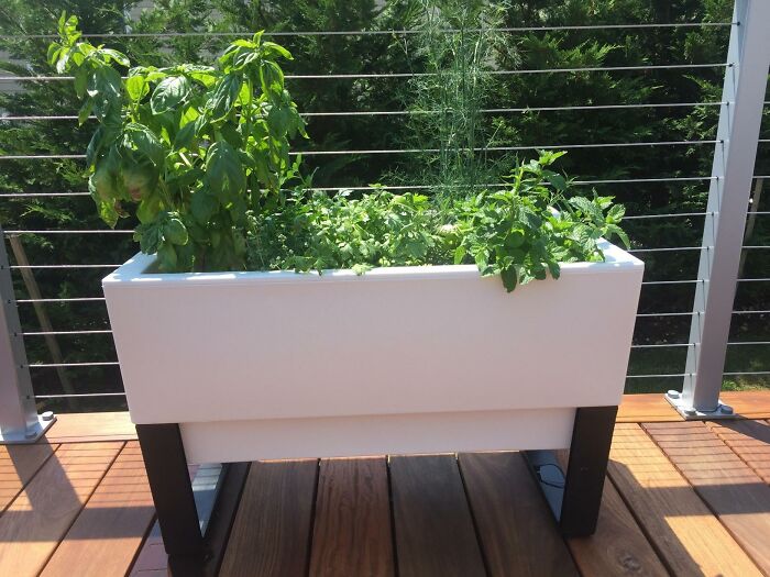 Effortlessly Maintain Your Plants With A Self-Watering Mini Bench Planter: Keep Your Greenery Hydrated And Thriving
