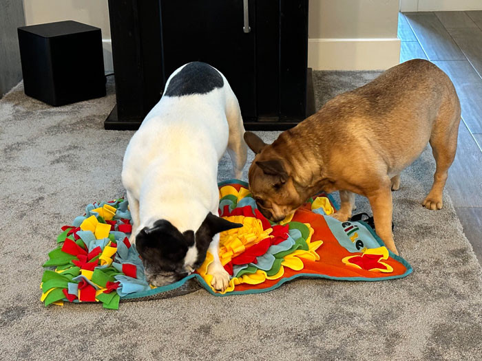 two dogs playing with snuffing mat
