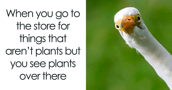 97 Environmental Memes To Share With Your Green Friends