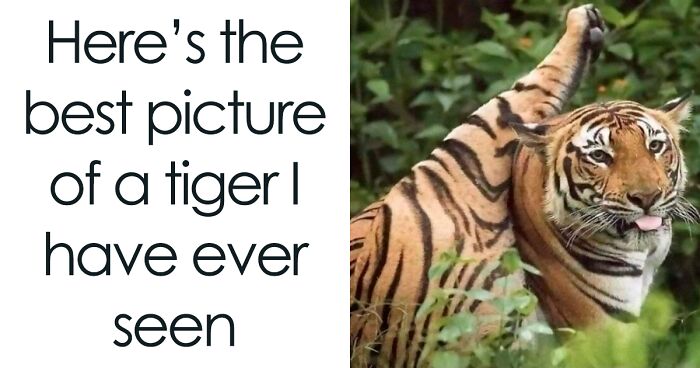 97 Animal And Nature Memes, As Shared By Members Of This Popular Facebook Group