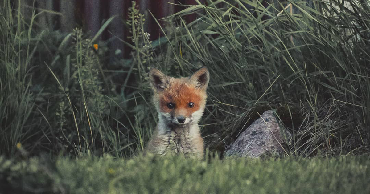 “Experience The Wild”: 30 Immersive Nature Photos Taken During A Wildlife Expedition
