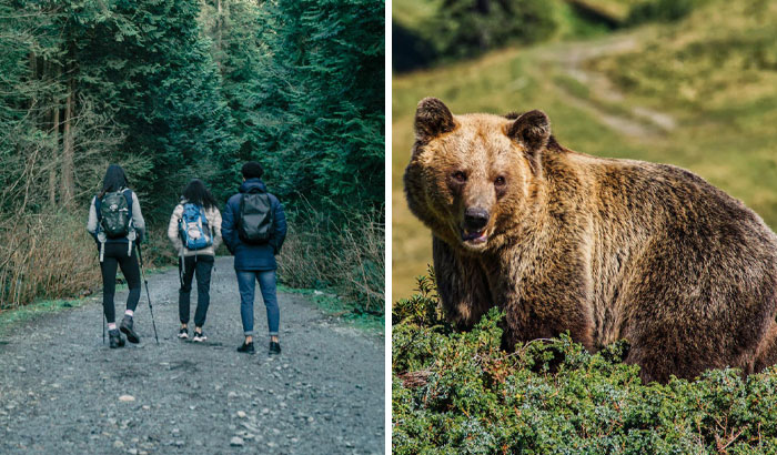 Woman Banned From Annual Camping Trip After “Honest Mistake” Nearly Cost Friends’ Lives