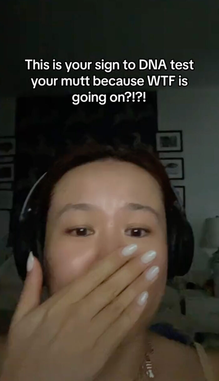 A Dog DNA Test Helps Woman Discover Her Mutt’s Entire Family Tree And She’s In Tears A Dog DNA Test Helps Woman Discover Her Mutt’s Entire Family Tree And She’s In Tears