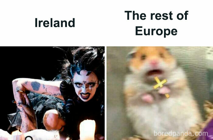 Eurovision-Memes-2024