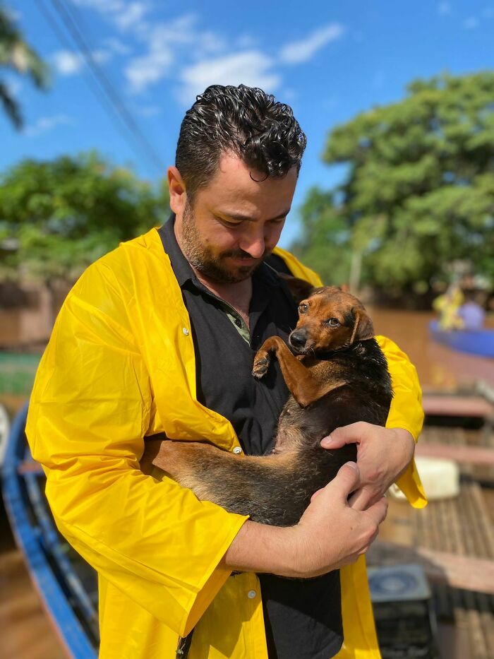 These Dedicated Volunteers Are Rescuing Thousands Of Animals From Rio Grande Do Sul Floods These Dedicated Volunteers Are Rescuing Thousands Of Animals From Rio Grande Do Sul Floods