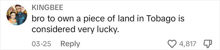 22-Year-Old Showcases Life After Building His Own House On Caribbean Island For Under $4,000 22-Year-Old Showcases Life After Building His Own House On Caribbean Island For Under $4,000