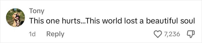 Woman Announced The End Of Her Journey To Her Own Followers In Heartbreaking Message Woman Announced The End Of Her Journey To Her Own Followers In Heartbreaking Message