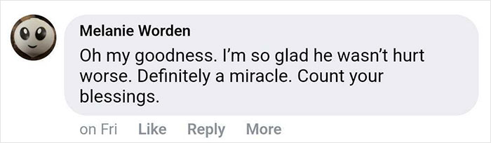 15-Year-Old Boy With Neurological Disorder Mauled By Bear While Watching TV 15-Year-Old Boy With Neurological Disorder Mauled By Bear While Watching TV