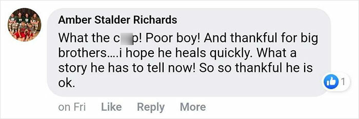 15-Year-Old Boy With Neurological Disorder Mauled By Bear While Watching TV 15-Year-Old Boy With Neurological Disorder Mauled By Bear While Watching TV