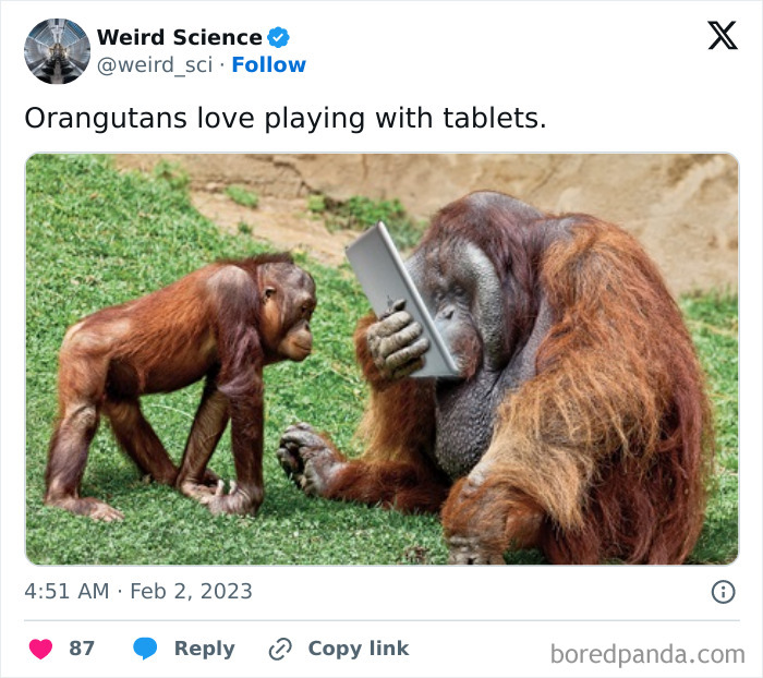 Weird-Science-Tweets