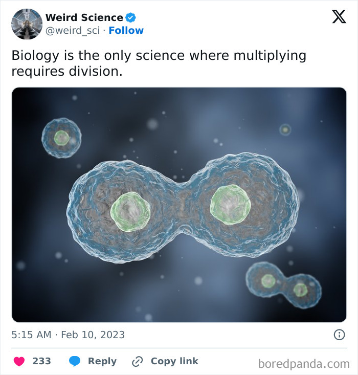 Weird-Science-Tweets