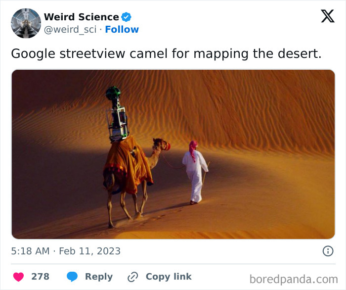 Weird-Science-Tweets