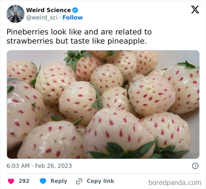 Weird-Science-Tweets