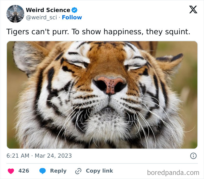 Weird-Science-Tweets