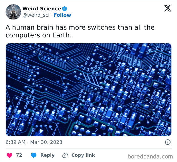 Weird-Science-Tweets