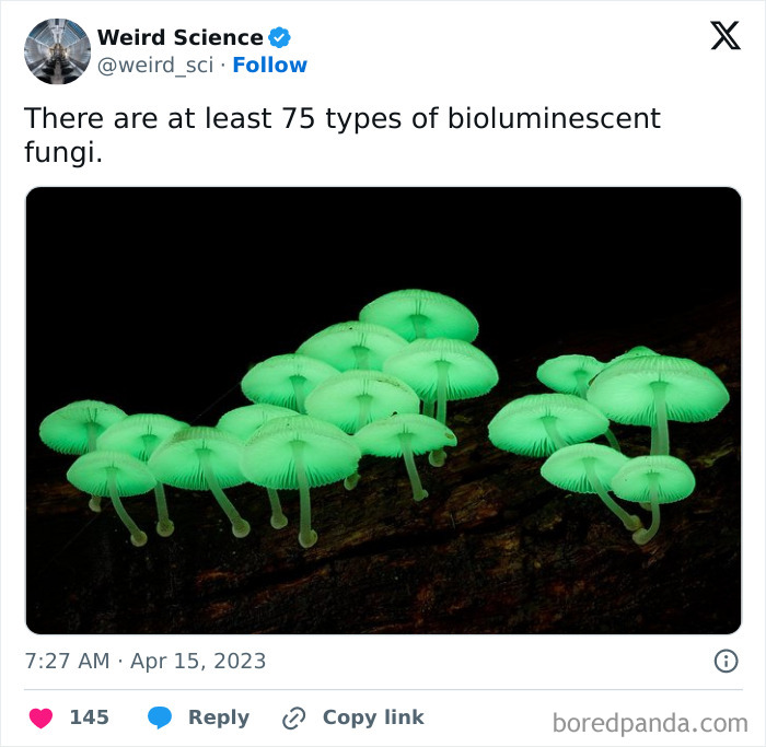Weird-Science-Tweets