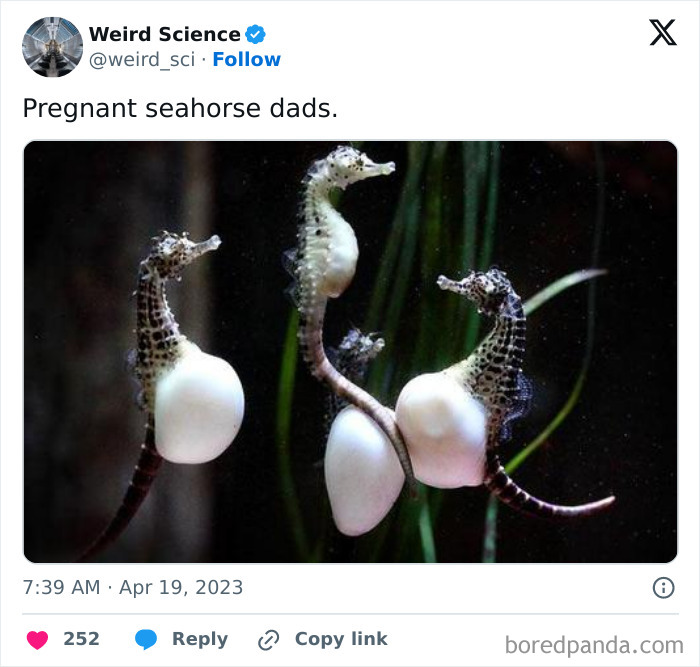 Weird-Science-Tweets