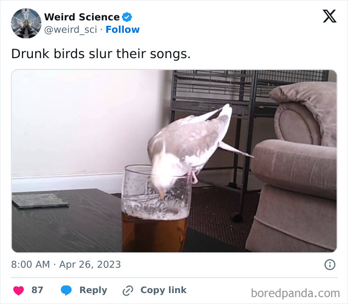 Weird-Science-Tweets