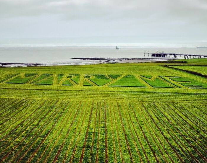 Girlfriend Can’t Hold Her Tears Back After Farmer Carves “Marry Me” Into His Field At Golden Hour Girlfriend Can’t Hold Her Tears Back After Farmer Carves “Marry Me” Into His Field At Golden Hour