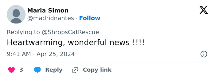 This Retirement Cat Village Has 17 Cats That Live Out Their Days In Mini Cottages This Retirement Cat Village Has 17 Cats That Live Out Their Days In Mini Cottages