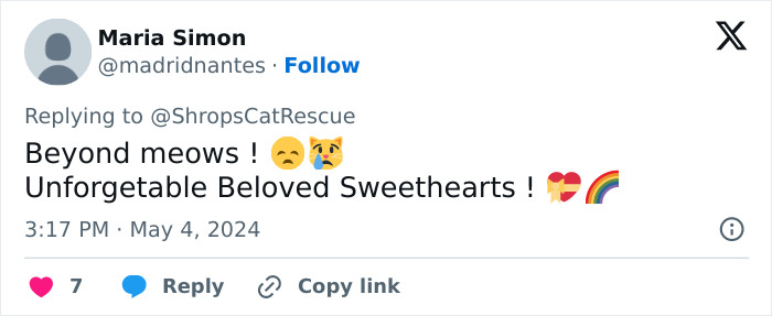 This Retirement Cat Village Has 17 Cats That Live Out Their Days In Mini Cottages This Retirement Cat Village Has 17 Cats That Live Out Their Days In Mini Cottages