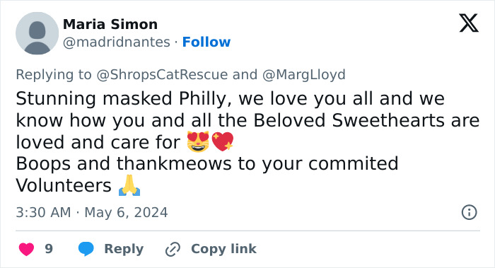 This Retirement Cat Village Has 17 Cats That Live Out Their Days In Mini Cottages This Retirement Cat Village Has 17 Cats That Live Out Their Days In Mini Cottages