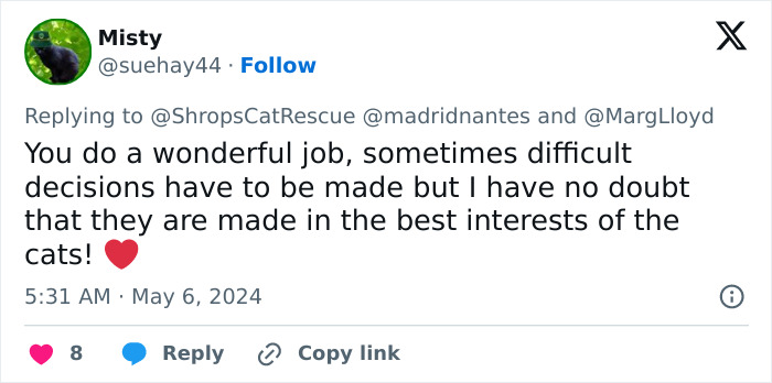 This Retirement Cat Village Has 17 Cats That Live Out Their Days In Mini Cottages This Retirement Cat Village Has 17 Cats That Live Out Their Days In Mini Cottages