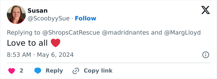 This Retirement Cat Village Has 17 Cats That Live Out Their Days In Mini Cottages This Retirement Cat Village Has 17 Cats That Live Out Their Days In Mini Cottages