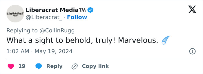 This Girl Accidentally Captured The Coolest Video So Far: A Stunning Piece Of A Comet Over Portugal This Girl Accidentally Captured The Coolest Video So Far: A Stunning Piece Of A Comet Over Portugal