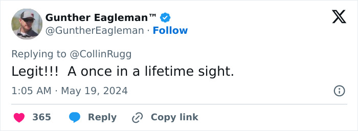 This Girl Accidentally Captured The Coolest Video So Far: A Stunning Piece Of A Comet Over Portugal This Girl Accidentally Captured The Coolest Video So Far: A Stunning Piece Of A Comet Over Portugal