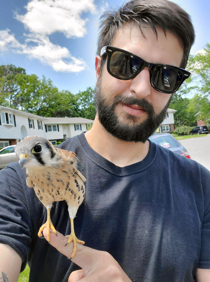 This Little Guy Started Hanging Around My Brother While He Was Working On A Car. I Believe It’s An American Kestrel. Which Means My Brother Made Friends With A Falcon