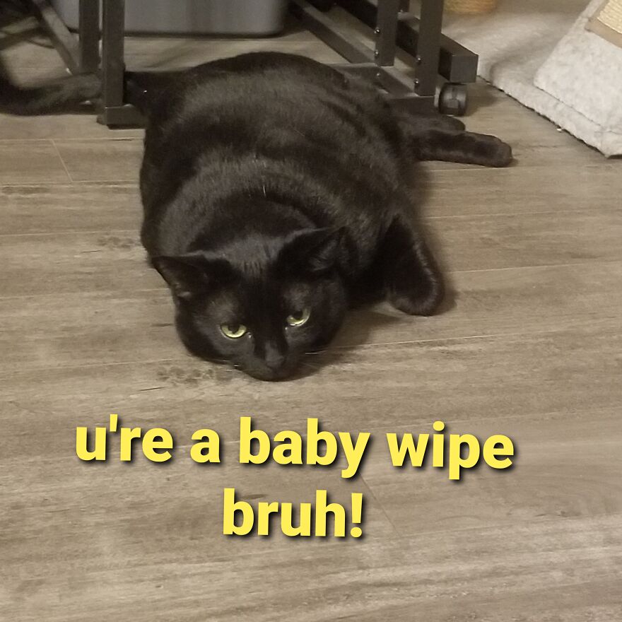 Boobiekatz On Letterkenny Boobiekatz On Letterkenny